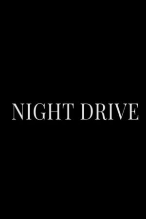 Watch & Download Night Drive (2019) 1080p WEB-DL Multi Audio [Hindi + Kannada + Malayalam + Tamil + Telugu] Full Movie Movie
