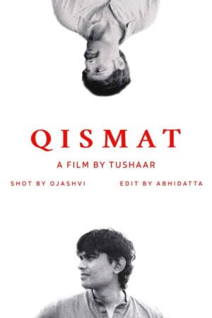 Watch & Download Qismat (2024) 1080p WEB-DL Multi Audio [Hindi + Punjabi + Tamil + Telugu] Full Movie Movie